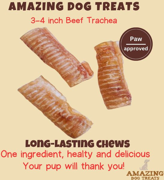 Amazing Dog Treats Beef Trachea 3 - 4-inch Dog Treats, 25 count