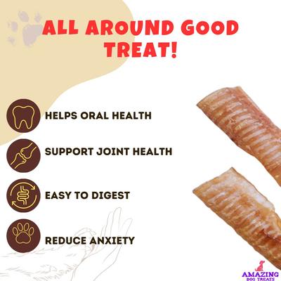 Show full view: Amazing Dog Treats Beef Trachea 3 - 4-inch Dog Treats, 25 count slide 8 of 9