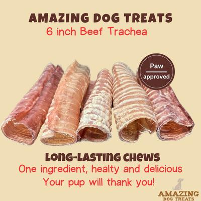 Show full view: Amazing Dog Treats Beef Trachea 6-inch Dog Treats, 20 count slide 3 of 9