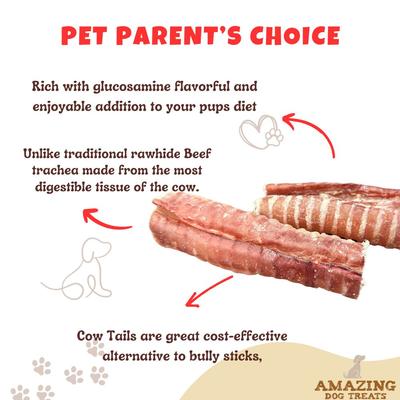 Show full view: Amazing Dog Treats Beef Trachea 6-inch Dog Treats, 20 count slide 4 of 9