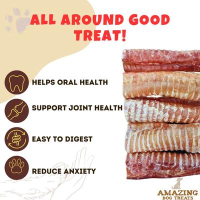 Show full view: Amazing Dog Treats Beef Trachea 6-inch Dog Treats, 5 count slide 5 of 9