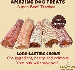 Amazing Dog Treats Beef Trachea Dog Treats, 2 count slide 2 of 7