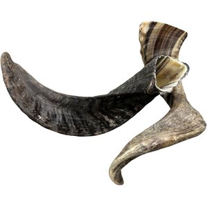Amazing Dog Treats Lamb Horn Dog Bone, 1 count