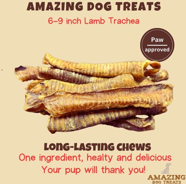 Amazing Dog Treats Lamb Trachea Dog Treats, 10-oz bag