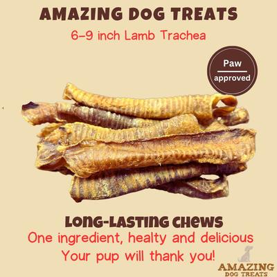 Show full view: Amazing Dog Treats Lamb Trachea Dog Treats, 10-oz bag slide 3 of 8