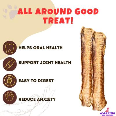 Show full view: Amazing Dog Treats Lamb Trachea Dog Treats, 10-oz bag slide 8 of 8