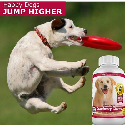Show full view: Amazing Nutritionals Cranberry Chews Daily Dog Supplement, 120 count slide 5 of 7