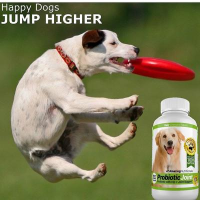 Show full view: Amazing Nutritionals Probiotic Joint & Hip Support Daily Dog Supplement, 120 count slide 7 of 8