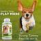 Show in main carousel: Amazing Nutritionals Probiotic Joint & Hip Support Daily Dog Supplement, 120 count slide 8 of 8