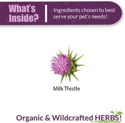 Amber NaturalZ Milk Thistle Liver Health Support Herbal Lquid Supplement for Dogs & Cats, 1-fl oz slide 2 of 5