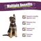 Show in main carousel: Amber NaturalZ Paxaid Digestive Support Liquid Supplement for Dogs, 1-fl oz slide 3 of 7