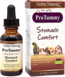 Amber NaturalZ ProTummy Digestive Support Liquid Supplement for Dogs & Cats, 1-fl oz