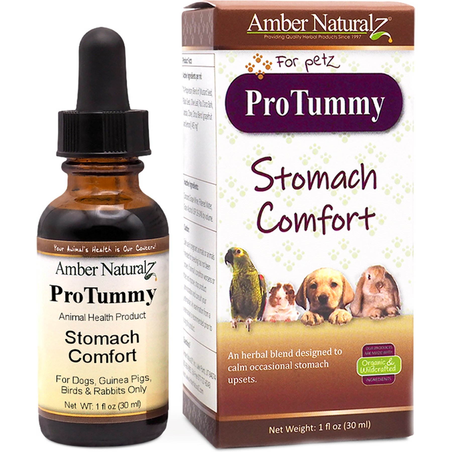 Amber NaturalZ ProTummy Digestive Support Liquid Supplement for Dogs & Cats, 1-fl oz