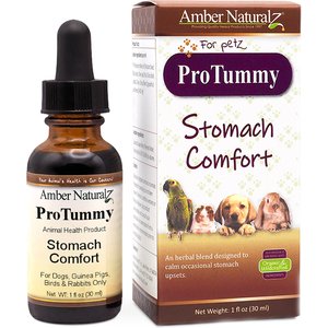 Amber NaturalZ ProTummy Digestive Support Liquid Supplement for Dogs & Cats, 1-fl oz