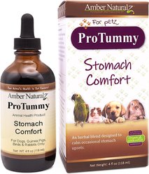 Amber NaturalZ ProTummy Digestive Support Liquid Supplement for Dogs & Cats, 4-fl oz