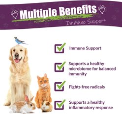 Amber NaturalZ Vibactra Immune & Antioxidant Support Liquid Supplement for Dogs & Cats, 4-fl oz slide 2 of 6