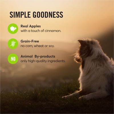 Show full view: American Journey Apples & Cinnamon Flavor Grain-Free Oven Baked Crunchy Biscuit Dog Treats, 16-oz bag, bundle of 2 slide 8 of 9