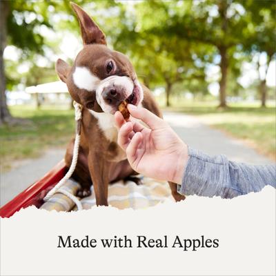 Show full view: American Journey Apples & Cinnamon Flavor Grain-Free Oven Baked Crunchy Biscuit Dog Treats, 16-oz bag slide 5 of 10