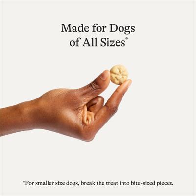 Show full view: American Journey Apples & Cinnamon Flavor Grain-Free Oven Baked Crunchy Biscuit Dog Treats, 8-oz bag slide 4 of 10