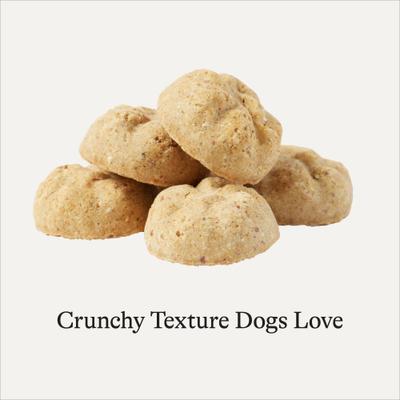 Show full view: American Journey Apples & Cinnamon Flavor Grain-Free Oven Baked Crunchy Biscuit Dog Treats, 8-oz bag slide 6 of 10