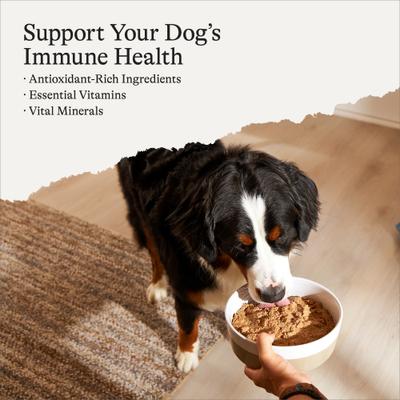 Show full view: American Journey Premium Loaf Beef Recipe Grain-Free Canned Dog Food, 12.5-oz can, case of 12 slide 4 of 11