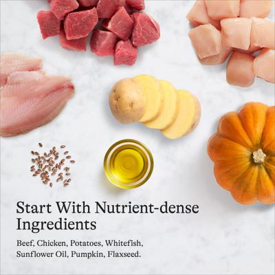 Show full view: American Journey Premium Loaf Beef Recipe Grain-Free Canned Dog Food, 12.5-oz can, case of 12 slide 8 of 11