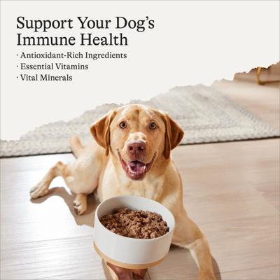 Show full view: American Journey Premium Loaf Beef & Vegetables Recipe Canned Dog Food, 12.5-oz can, case of 12 slide 4 of 12