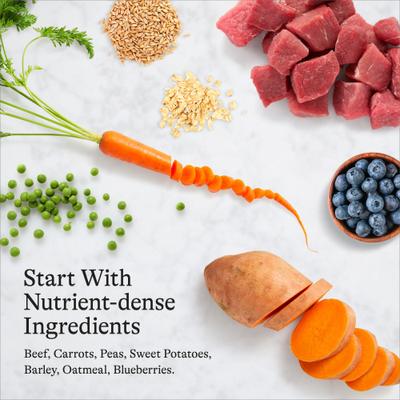 Show full view: American Journey Premium Loaf Beef & Vegetables Recipe Canned Dog Food, 12.5-oz can, case of 12 slide 8 of 12