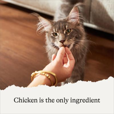 Show full view: American Journey 100% Chicken Freeze-Dried Grain-Free Cat Treats, 30-oz bundle slide 5 of 11