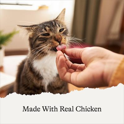 Show full view: American Journey Chicken Flavor Grain-Free Soft & Chewy Cat Treats 2-oz bag bundle of 4 slide 6 of 11