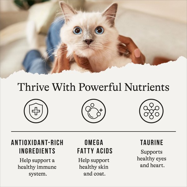 Show full view: American Journey Chicken Recipe Grain-Free Dry Cat Food, 12-lb bag slide 6 of 11
