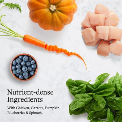 Show full view: American Journey Chicken Recipe Grain-Free Dry Cat Food, 12-lb bag slide 7 of 11