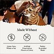 Show in main carousel: American Journey Chicken Recipe Grain-Free Dry Cat Food, 12-lb bag slide 8 of 11