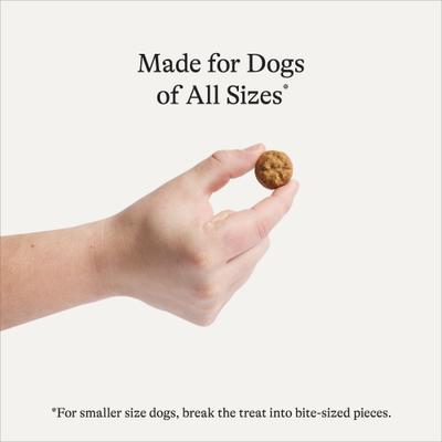 Show full view: American Journey Chicken Recipe Grain-Free Oven Baked Crunchy Biscuit Dog Treats, 8-oz bag slide 4 of 10