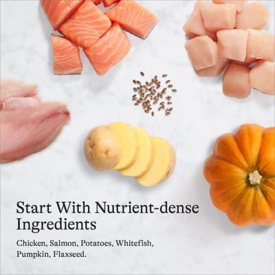 Show full view: American Journey Premium Loaf Chicken & Salmon Recipe Grain-Free Canned Dog Food, 12.5-oz can, case of 12 slide 8 of 11