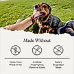 Show in main carousel: American Journey Premium Loaf Chicken & Turkey Recipe Grain-Free Canned Dog Food, 12.5-oz can, case of 12 slide 9 of 12