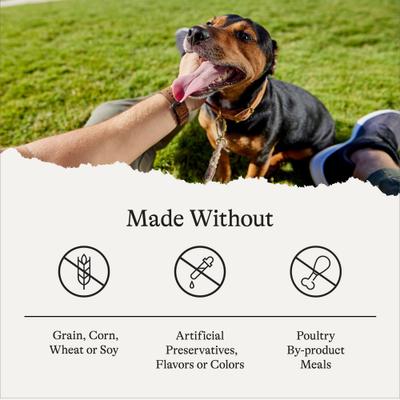 Show full view: American Journey Premium Loaf Chicken & Turkey Recipe Grain-Free Canned Dog Food, 12.5-oz can, case of 12 slide 9 of 12