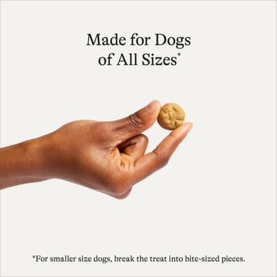 Show full view: American Journey Duck Recipe Grain-Free Oven Baked Crunchy Biscuit Dog Treats, 16-oz bag slide 4 of 10