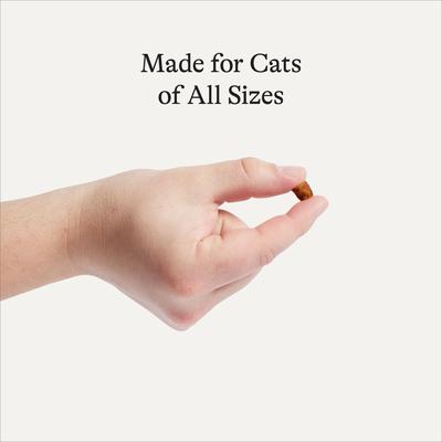 Show full view: American Journey Duck Recipe Grain-Free Soft & Chewy Cat Treats, 2-oz bag slide 4 of 10