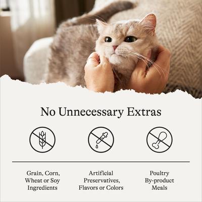 Show full view: American Journey Duck Recipe Grain-Free Soft & Chewy Cat Treats, 2-oz bag slide 8 of 10