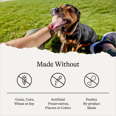 Show full view: American Journey Grain-Free Duck & Sweet Potato Dry Dog Food, 48-lb bundle slide 8 of 12