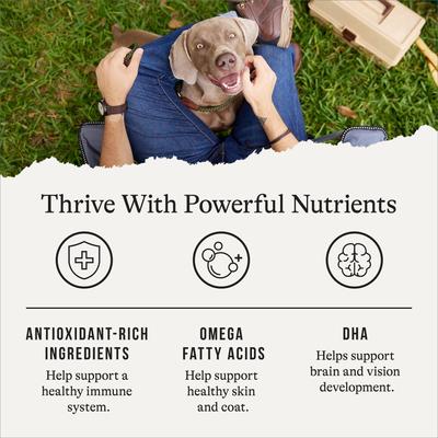 Show full view: American Journey Grain-Free Duck & Sweet Potato Dry Dog Food, 48-lb bundle slide 6 of 12