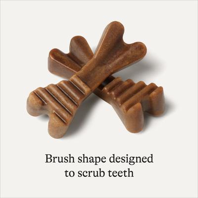 Show full view: American Journey Grain-Free Extra-Small Dental Dog Treats Mint Flavor, 260 count slide 7 of 11