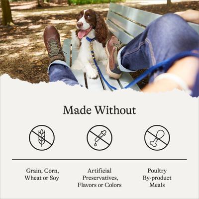 Show full view: American Journey Grain-Free Healthy Weight Chicken & Sweet Potato Recipe Dry Dog Food, 24-lb bag slide 8 of 12