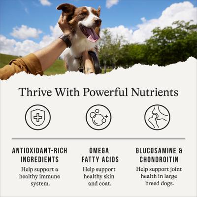 Show full view: American Journey Grain-Free Large Breed Adult Chicken & Sweet Potato Recipe Dry Dog Food, 24-lb bag slide 6 of 12