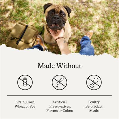 Show full view: American Journey Grain-Free Large Breed Adult Chicken & Sweet Potato Recipe Dry Dog Food, 24-lb bag slide 8 of 12