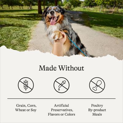 Show full view: American Journey Grain-Free Large Breed Puppy Chicken & Sweet Potato Recipe Dry Dog Food, 48-lb bundle slide 8 of 12