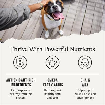 Show full view: American Journey Grain-Free Large Breed Puppy Chicken & Sweet Potato Recipe Dry Dog Food, 24-lb bag slide 6 of 12