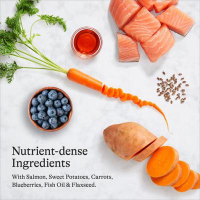 Show full view: American Journey Grain-Free Large Breed Puppy Salmon & Sweet Potato Recipe Dry Dog Food, 24-lb bag slide 7 of 12