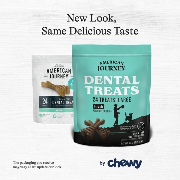 American Journey Grain-Free Large Dental Dog Treats Mint Flavor